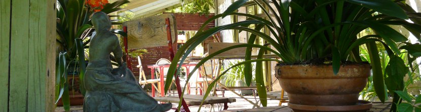 Bronze sur la terrasse