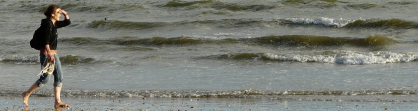 Mar�e sur la plage de Kervoyal(Damgan)